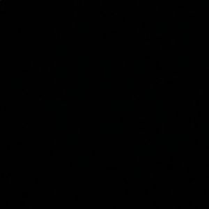 Meet your Posher, Eva